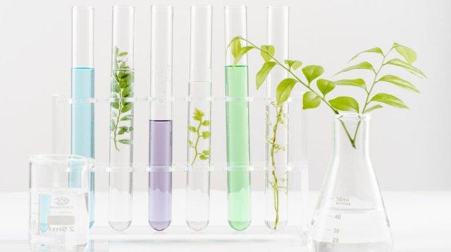 Open Day Area Scientifica